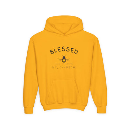 ✨ Hoodie: "Blessed"
