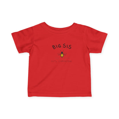 Big SiS