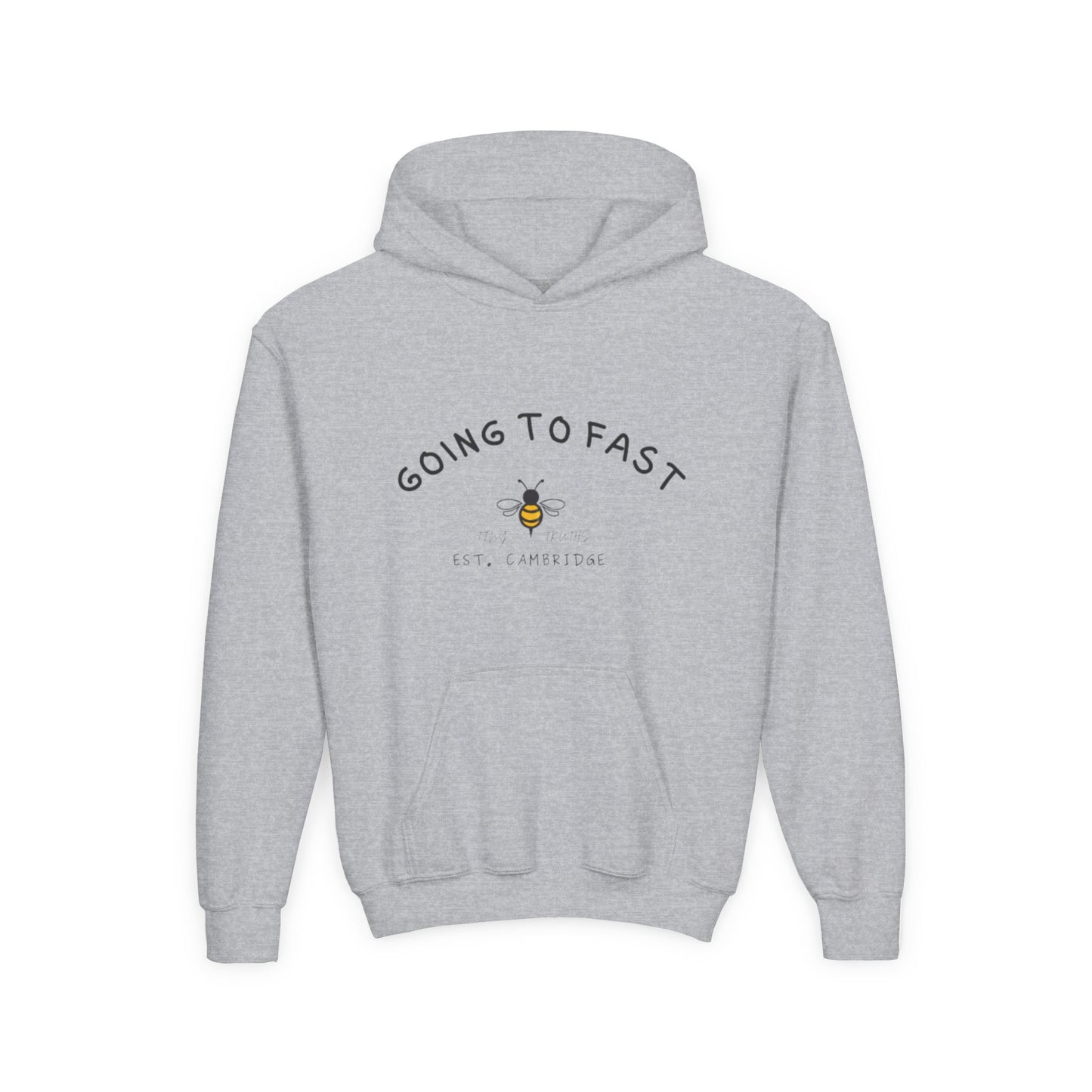 ⚡ Hoodie: "Going Too Fast"